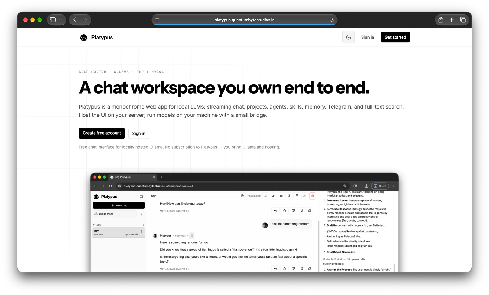 Platypus chat workspace with sidebar and composer